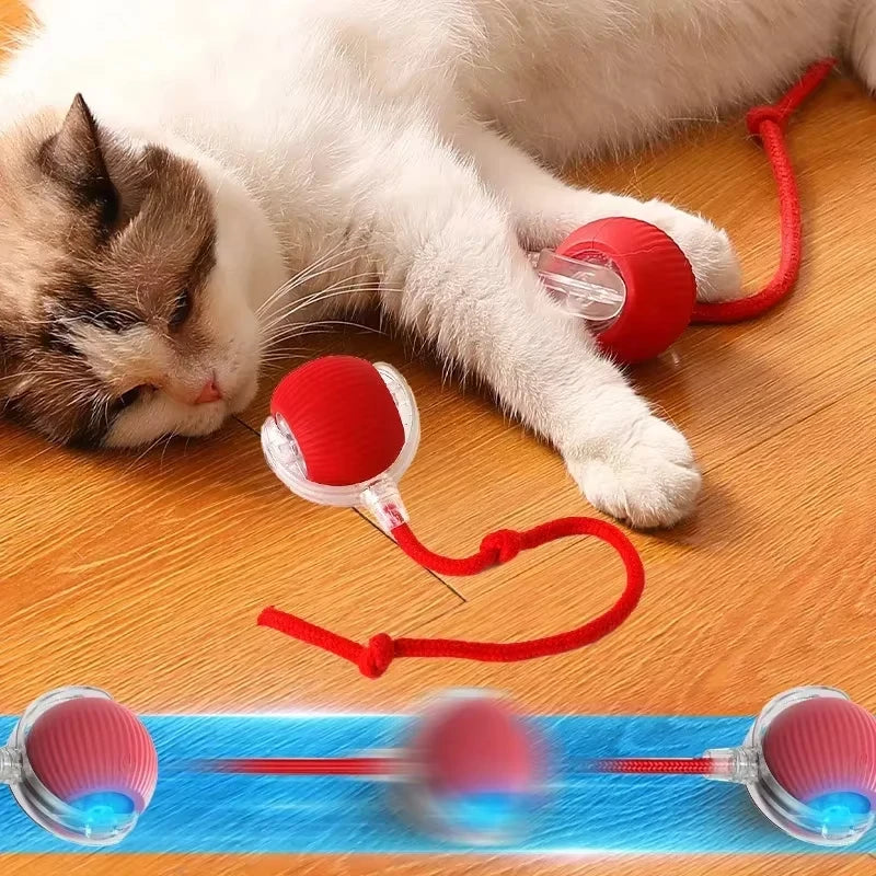 Electric Dog Ball – Auto Rolling Pet Toy with Mouse Design