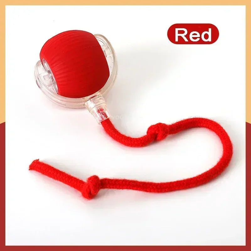 Electric Dog Ball – Auto Rolling Pet Toy with Mouse Design