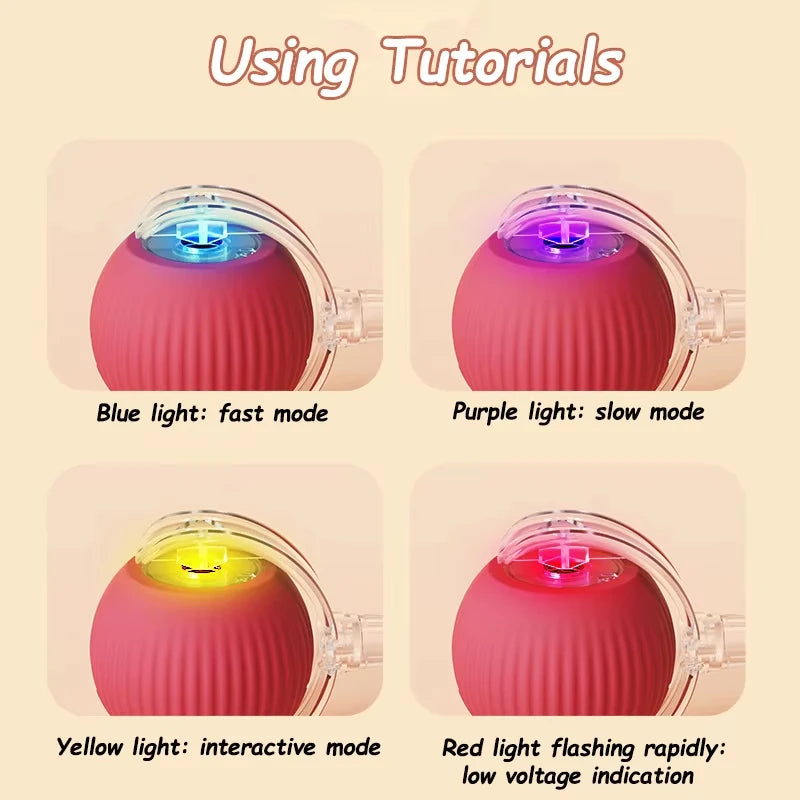 Electric Dog Ball – Auto Rolling Pet Toy with Mouse Design